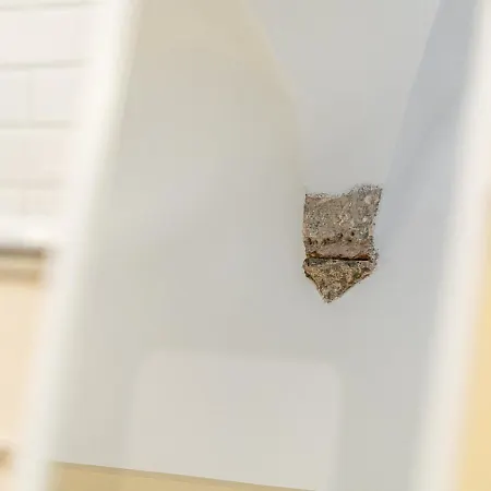 아파트 Loft Piazza Navona