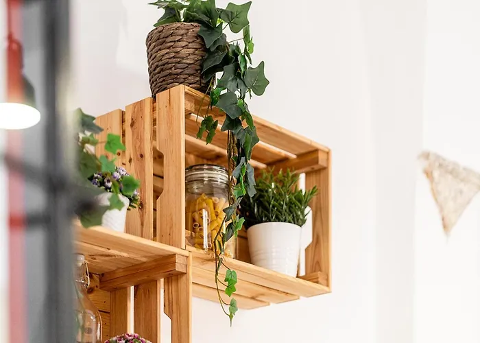 Lejlighed Loft Piazza Navona *