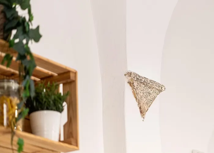 Lejlighed Loft Piazza Navona