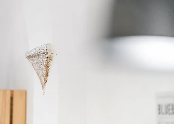 Lejlighed Loft Piazza Navona